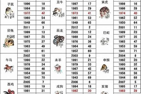 2005年五行属什么|2005年出生五行属什么命？生肖是属什么？